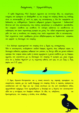 page 02